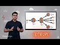 Nuclear Energy: Exploring Fission and Fusion Fundamentals
