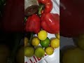 Guandules verdes del campo 🚜 a la capital