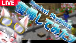 【Hypixel Skyblock】コッソリ復帰トライｯ！【Vtuber】