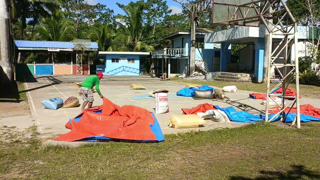 VLOG 200 | Solar Drying