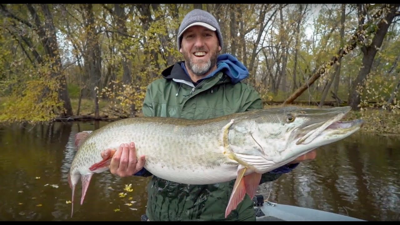 Musky fly fishing Outlet