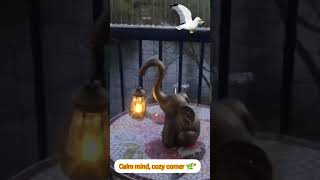 Beautiful Home Decor Setup | Cozy &amp; Peaceful Vibes|Warm Lights &amp; Calm Nights | ಬೆಳಕು  ಶಾಂತಿ|shorts