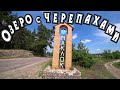 Воронеж/Природа России.Красноухая черепаха и болотная черепаха/Черепашье озеро #путешествиенамашине