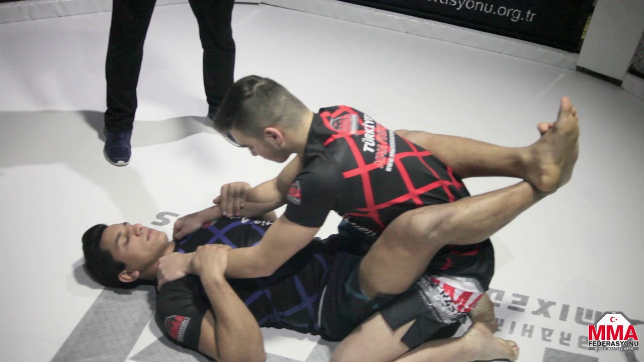 MMA Federasyonu Eğitim Videoları 1 (5 temel duruş ve gard pozisyonları) 2018