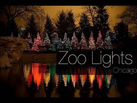 Видео: Огни в зоопарке Линкольн-парка: Рождество в Чикаго