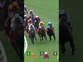 ROMANTIC WARRIOR 浪漫勇士 is back in a big way - comfortably winning the G2 Jockey Club Cup... 🏆