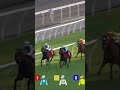 ROMANTIC WARRIOR 浪漫勇士 is back in a big way - comfortably winning the G2 Jockey Club Cup... 🏆