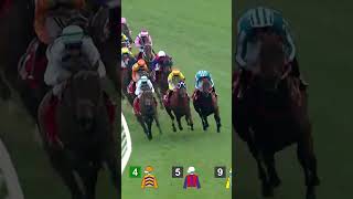 Romantic Warrior 浪漫勇士 Is Back In A Big Way - Comfortably Winning The G2 Jockey Club Cup...