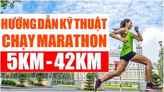 Hướng dẫn kỹ thuật chạy marathon 5km – 42km | Yêu Chạy Bộ