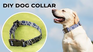 DIY Dog collar  How to Sew a Dog Collar in Just 10 minutes