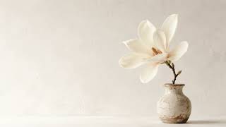 Minimalist White Magnolia Fine Art • 4K TV Screensaver Canvas