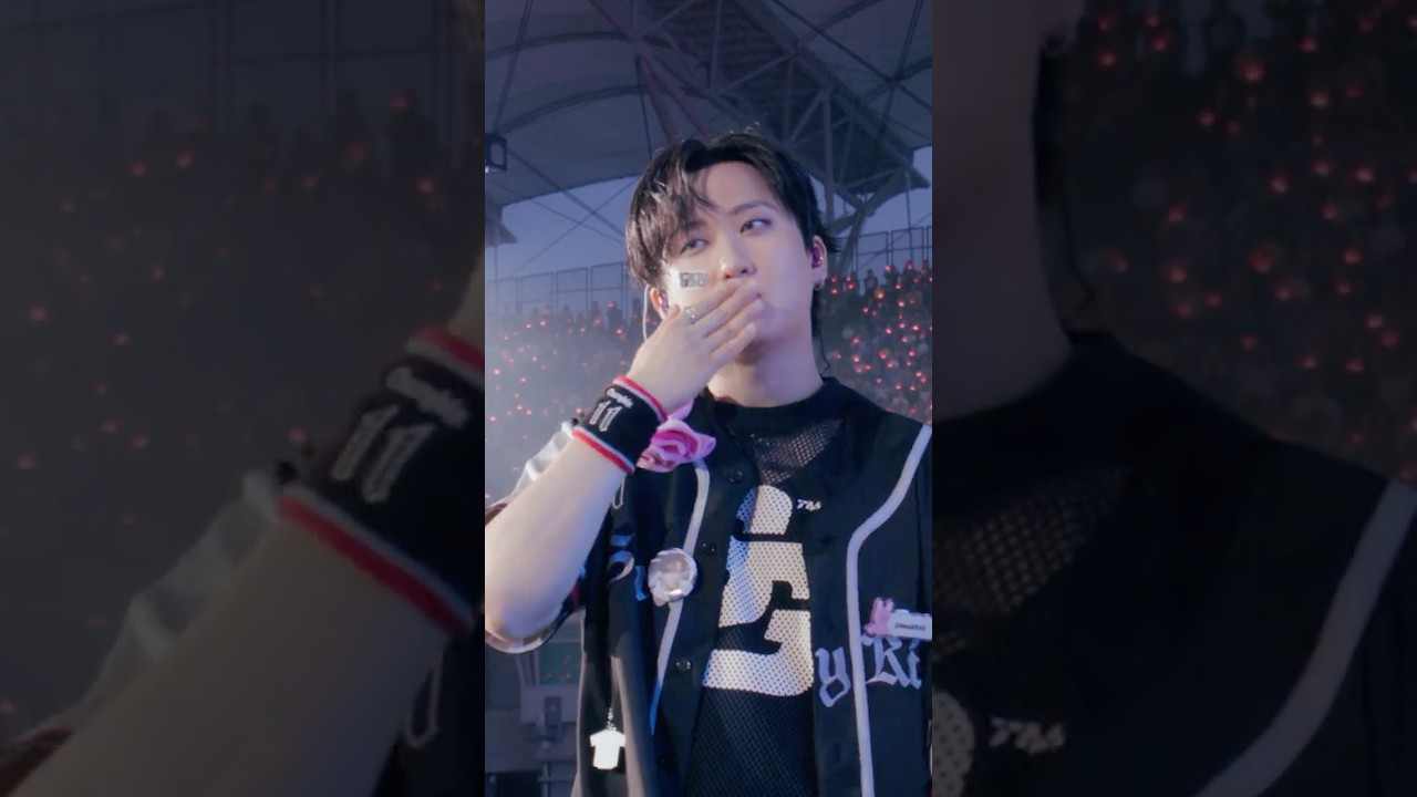 Stray Kids LIVE Blu-ray『Stray Kids World Tour ＜dominATE JAPAN