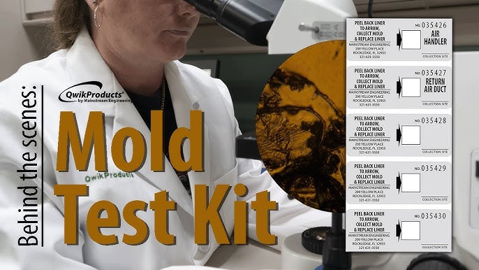 Mold Test Kits at