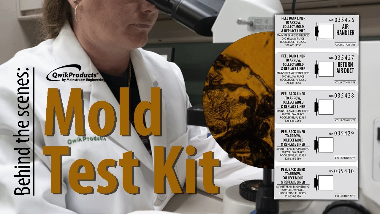 Reviews for LABTECH Mold Detection Test Kit
