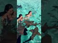 Ocean Life Is Hardcore! 🦭🫨