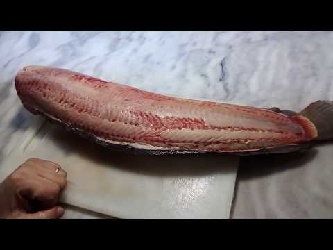 فيديو: سمك السلور المقلي في تتبيلة خاصة