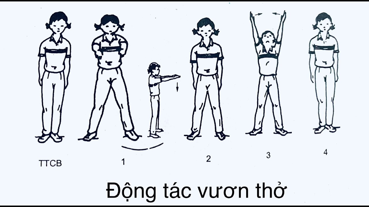 Bài thể dục phát triển chung lớp 4 - youtube