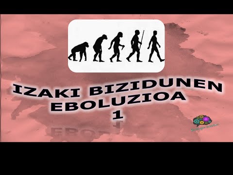 Izaki bizidunen eboluzioa 4DBH (1)