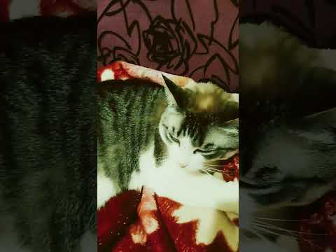 что случится если