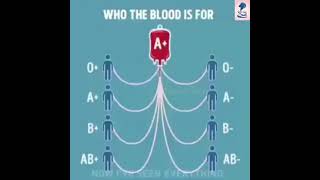 Blood Group Types | Which Blood group can Donate / Receive from Whom Animation | RH Factor(+ve/-ve)