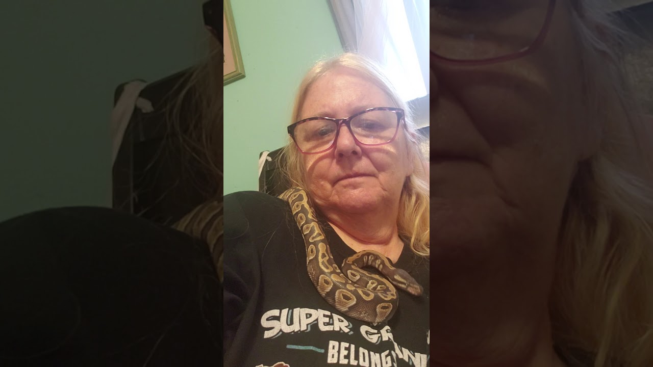 sharingbox Hermione Ball Python