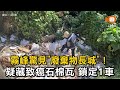 霧峰驚現「廢棄物長城」！疑藏致癌石棉瓦