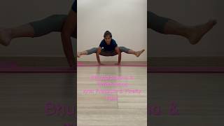#bhujapidasana | #tittibhasana |#armpressurepose | #fireflypose | #yoga | #yogaposes | #handstrength