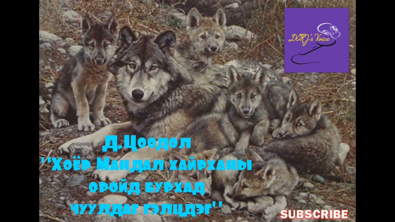 Д.Цоодол "Хоёр Мандал хайрханы оройд бурхад чуулдаг гэлцдэг"
