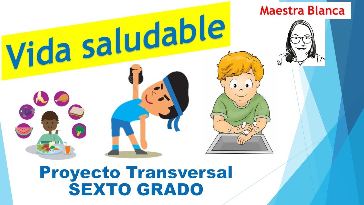 VIDA SALUDABLE SEXTO GRADO. PROYECTO TRANSVERSAL - YouTube