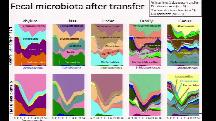 Microbiome and Obesity - Martin Blaser