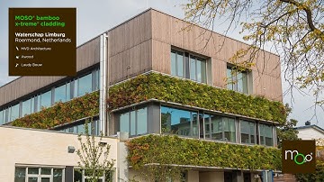 Waterschap (Water Authority) Limburg | MOSO Bamboo X-treme
