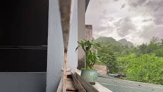 IMG 1145 120040 040923 ĐD HV