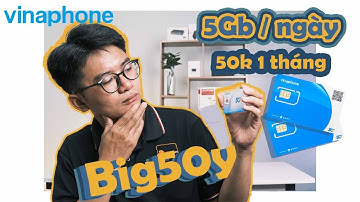 SỐ LƯỢNG CÓ HẠN !!! Sim Siêu Data Vinaphone Big50Y Nạp tháng đã quay lại | Wifishop