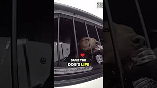 Cop Breaks Suv Window To Rescue Dog Left in Hot Car ❤️