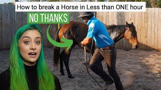 Equestrian VS Fake Horse Trainer