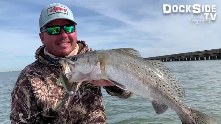 DockSide TV "Back to the Track Just Before CYBER MONDAY"