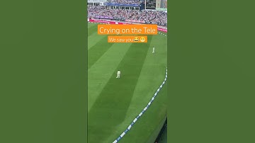 English Crowd booing Steve Smith in The Ashes 2023.   #ashes