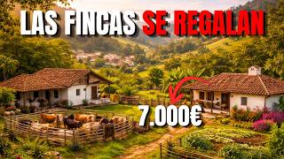 12 Places in Spain Where Farms Are So Cheap You'll Think It's a Scam