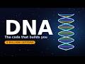 DNA, Explained: The Code That Builds You