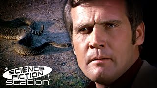 The Six Million Dollar Man vs. A Snake | The Six Million Dollar Man | Science Fiction Station