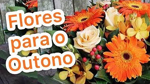 Quais são as flores que florescem no outono?