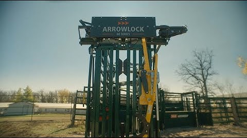 A New Era of Cattle Handling: Arrowquip