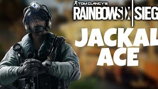 Jackal Ace