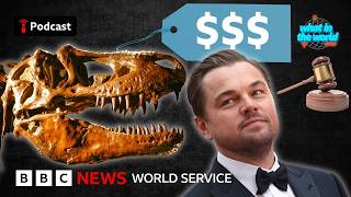 Why are rich people buying dinosaurs - What in the World podcast, BBC World Service