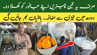 How To Increase Milk Of Cows And Buffalos Fastly Desi Formula To Increase Milk Dairy Farm Tips