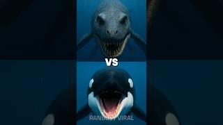orca vs pliosaur, bowhead whale, humpback whale, Ichthyosaur, lionfish, titan Crab, salmon