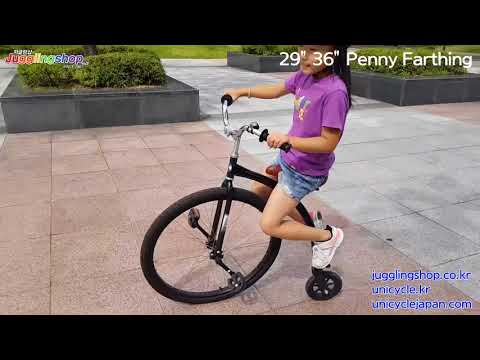 29" 36" Penny Farthing 페니파딩 빈폴자전거