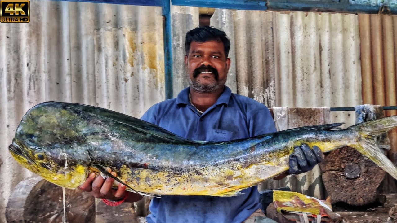 MAHI MAHI FISH CUTTING VIDEO BY MR.DURAI YouTube