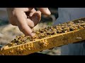 Symbiotic Sustainability: Mana Kai’s technology-driven beekeeping in New Zealand