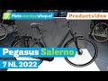 Pegasus Salerno 7 NL 2022 - Fietsvoordeelshop.nl Productvideo